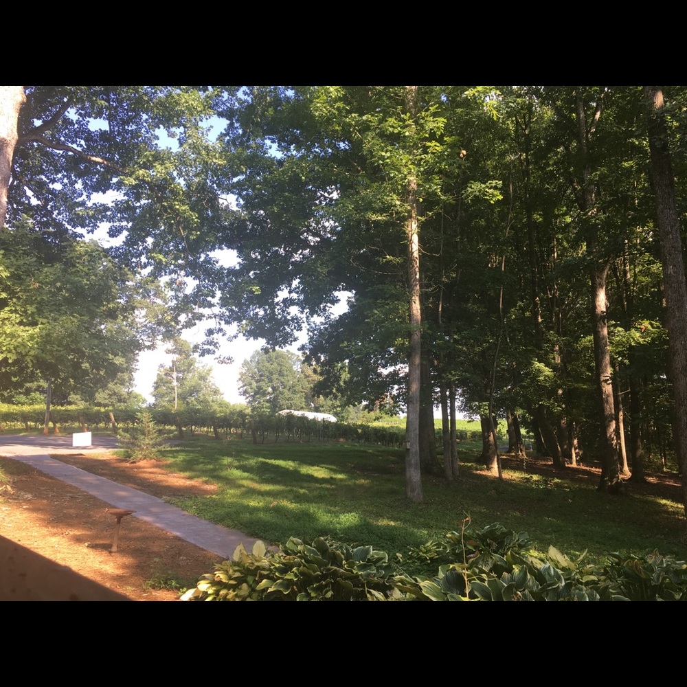 Meet your Posher, Mayda